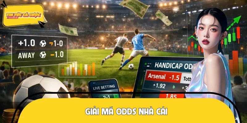 Giải Mã Odds Nhà Cái Chính Xác - Bật Mí Cách Thắng Đậm